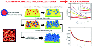 Graphical abstract: Large Kondo effect in assemblies of Au nanoparticles linked with alkanedithiol electron bridges