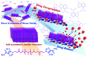 Graphical abstract: Dual stimuli-responsive supramolecular boron nitride with tunable physical properties for controlled drug delivery