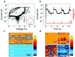 Graphical abstract: Mediation in the second-order synaptic emulator with conductive atomic force microscopy
