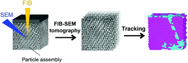 Graphical abstract: Bridging the gap: 3D real-space characterization of colloidal assemblies via FIB-SEM tomography