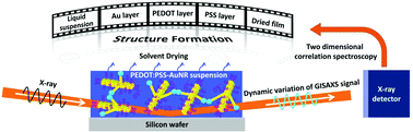 Graphical abstract: Drying of electrically conductive hybrid polymer–gold nanorods studied with in situ microbeam GISAXS