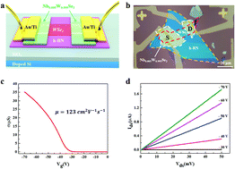 Graphical abstract: Reversible photo-induced doping in WSe2 field effect transistors