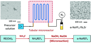 Graphical abstract: Reaction study of α-phase NaYF4:Yb,Er generation via a tubular microreactor: discovery of an efficient synthesis strategy