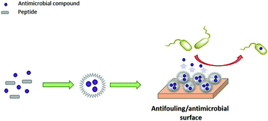 Graphical abstract: Tailoring the self-assembly of a tripeptide for the formation of antimicrobial surfaces