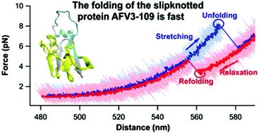 Graphical abstract: Direct observation of the fast and robust folding of a slipknotted protein by optical tweezers
