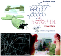 Graphical abstract: Stretchable and transparent nanofiber-networked electrodes based on nanocomposites of polyurethane/reduced graphene oxide/silver nanoparticles with high dispersion and fused junctions