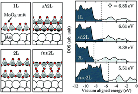 Graphical abstract: Polymorphic expressions of ultrathin oxidic layers of Mo on Au(111)