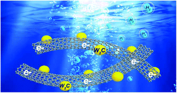 Graphical abstract: W2C nanodot-decorated CNT networks as a highly efficient and stable electrocatalyst for hydrogen evolution in acidic and alkaline media