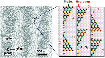 Graphical abstract: Hydrogen-assisted step-edge nucleation of MoSe2 monolayers on sapphire substrates