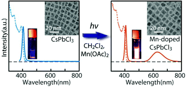 Graphical abstract: Photoinduced Mn doping in cesium lead halide perovskite nanocrystals