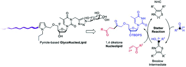 Graphical abstract: An organocatalyzed Stetter reaction as a bio-inspired tool for the synthesis of nucleic acid-based bioconjugates