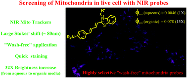 Graphical abstract: NIR-emitting benzothiazolium cyanines with an enhanced stokes shift for mitochondria imaging in live cells