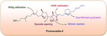Graphical abstract: Synthetic studies toward the marine metabolite prorocentin-4: synthesis of the C1–C23 fragment