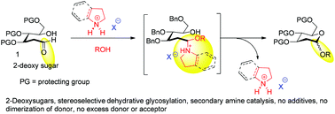 Graphical abstract: Secondary amine salt catalyzed controlled activation of 2-deoxy sugar lactols towards alpha-selective dehydrative glycosylation