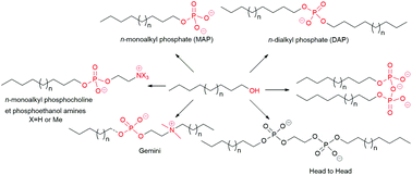 Graphical abstract: The synthesis of mono-alkyl phosphates and their derivatives: an overview of their nature, preparation and use, including synthesis under plausible prebiotic conditions