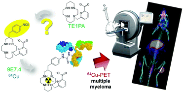 Graphical abstract: Synthesis of C-functionalized TE1PA and comparison with its analogues. An example of bioconjugation on 9E7.4 mAb for multiple myeloma 64Cu-PET imaging