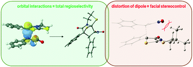 Graphical abstract: Mechanistic studies of 1,3-dipolar cycloadditions of bicyclic thioisomünchnones with alkenes. A computational rationale focused on donor–acceptor interactions