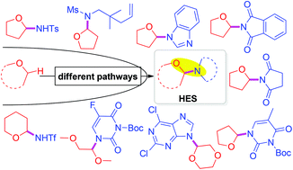 Graphical abstract: Direct functionalization of alkyl ethers to construct hemiaminal ether skeletons (HESs)