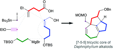 Graphical abstract: Synthesis of the [7-5-5] tricyclic core of Daphniphyllum alkaloids