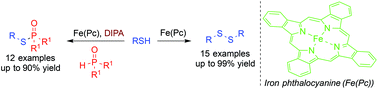 Graphical abstract: Base-controlled Fe(Pc)-catalyzed aerobic oxidation of thiols for the synthesis of S–S and S–P(O) bonds