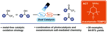 Graphical abstract: Oxidation of α-trifluoromethyl and non-fluorinated alcohols via the merger of oxoammonium cations and photoredox catalysis