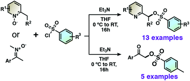 Graphical abstract: Metal-free C(sp3)–H bond sulfonyloxylation of 2-alkylpyridines and alkylnitrones