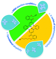 Graphical abstract: Multichromophore arrays of dibenzotetraaza[14]annulene: a promising platform for bioorganic chemistry