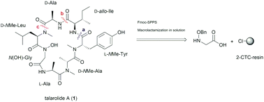 Graphical abstract: Total synthesis of the proposed structure of talarolide A