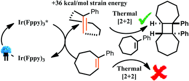 Graphical abstract: An elusive thermal [2 + 2] cycloaddition driven by visible light photocatalysis: tapping into strain to access C2-symmetric tricyclic rings
