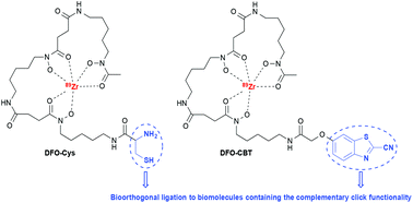 Graphical abstract: Two bifunctional desferrioxamine chelators for bioorthogonal labeling of biovectors with zirconium-89