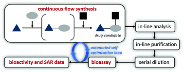 Graphical abstract: Integrating continuous flow synthesis with in-line analysis and data generation