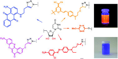 Graphical abstract: Synthesis and characterization of various 5′-dye-labeled ribonucleosides