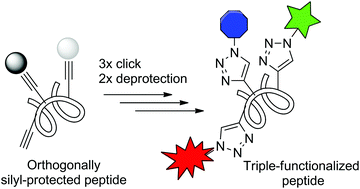 Graphical abstract: Stepwise triple-click functionalization of synthetic peptides