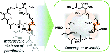 Graphical abstract: Toward the total synthesis of patellazole B: synthesis of an advanced C1–C25 fragment corresponding to the macrocyclic skeleton