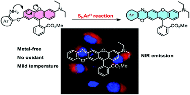Graphical abstract: Synthesis of near-infrared fluorescent rhodamines via an SNArH reaction and their biological applications