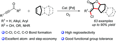 Graphical abstract: Palladium-catalyzed cascade carboesterification of norbornene with alkynes