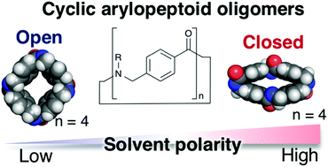 Graphical abstract: Cyclic arylopeptoid oligomers: synthesis and conformational propensities of peptide-mimetic aromatic macrocycles