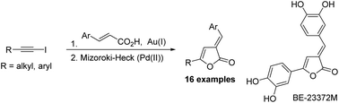 Graphical abstract: Stereoselective synthesis of E-3-(arylmethylidene)-5-(alkyl/aryl)-2(3H)-furanones by sequential hydroacyloxylation-Mizoroki–Heck reactions of iodoalkynes
