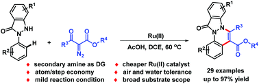 Graphical abstract: Ruthenium(ii)-catalyzed synthesis of indazolone-fused cinnolines via C–H coupling with diazo compounds
