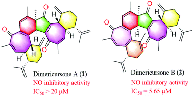 Graphical abstract: Dimericursones A and B: two unprecedented hexacyclic dimeric diterpenoids from the root barks of Jatropha curcas