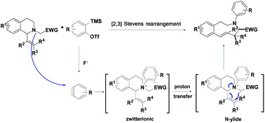 Graphical abstract: A concise synthesis of (E)-3-aryl-2,3,4,5-tetrahydro-1H-3-benzazonines by aryne induced [2,3] Stevens rearrangement of 1,2,3,4-tetrahydroisoquinolines