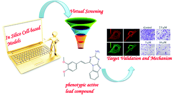 Graphical abstract: Identifying a novel anticancer agent with microtubule-stabilizing effects through computational cell-based bioactivity prediction models and bioassays