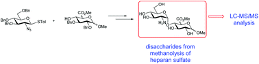Graphical abstract: Synthesis and mass spectrometric analysis of disaccharides from methanolysis of heparan sulfate