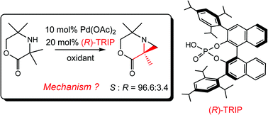 Graphical abstract: Origins of the enantioselectivity of a palladium catalyst with BINOL–phosphoric acid ligands