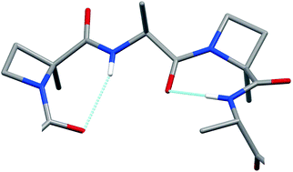 Graphical abstract: A novel peptide conformation: the γ-bend ribbon