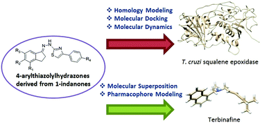 Graphical abstract: Studies of 4-arylthiazolylhydrazones derived from 1-indanones as Trypanosoma cruzi squalene epoxidase inhibitors by molecular simulations
