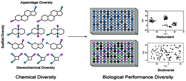 Graphical abstract: Next generation diversity-oriented synthesis: a paradigm shift from chemical diversity to biological diversity
