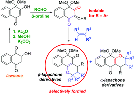 Graphical abstract: Site-selectivity control in hetero-Diels–Alder reactions of methylidene derivatives of lawsone through modification of the reactive carbonyl group: an experimental and theoretical study