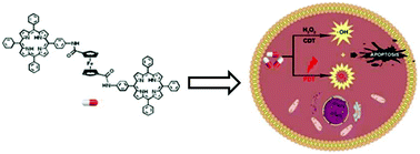 Graphical abstract: Porphyrin–ferrocene conjugates for photodynamic and chemodynamic therapy