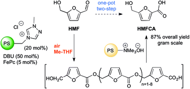 Graphical abstract: Aerobic oxidation of 5-hydroxymethylfurfural to 5-hydroxymethyl-2-furancarboxylic acid and its derivatives by heterogeneous NHC-catalysis